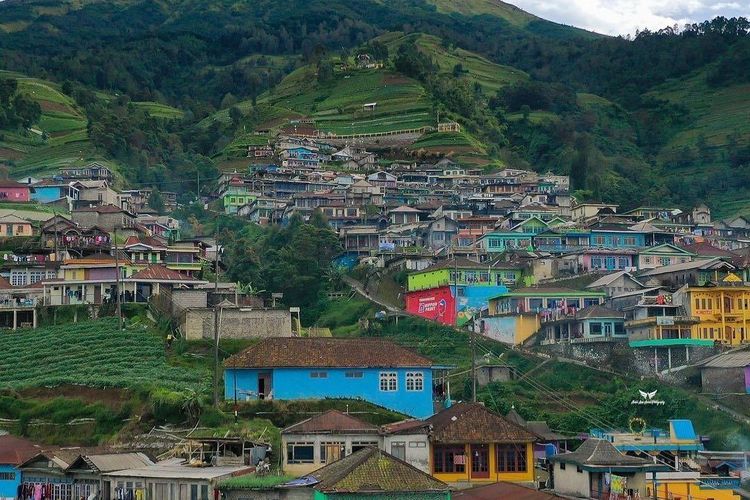 5 Keindahan Nepal Van Java Kaliangkrik, Lereng Gunung Sumbing Magelang ...