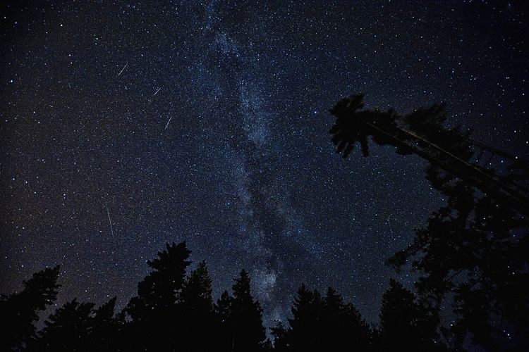 Meteor Shower Phenomenon at the End of July, Record the Date and How to Observe It