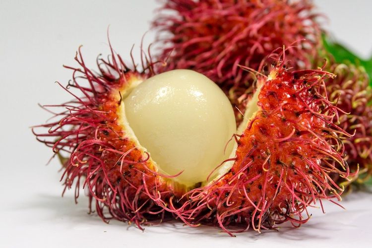 Let’s Get to Know the 5 Benefits of Rambutan Fruit for Body Health