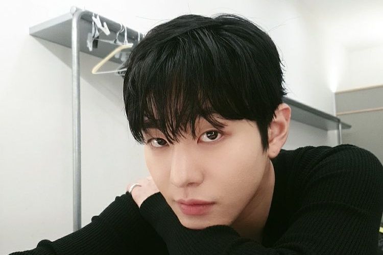 Biodata of Ahn Hyo Seop, Actor in A Business Proposal: Age, Career Journey, Awards, and IG Account