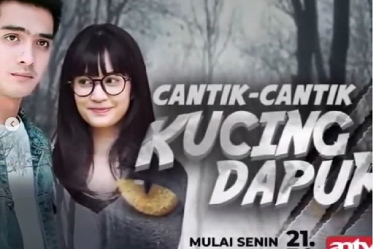 26 Daftar Nama Pemain Cantik-Cantik Kucing Dapur, Kisah 2 Jin Lengkap