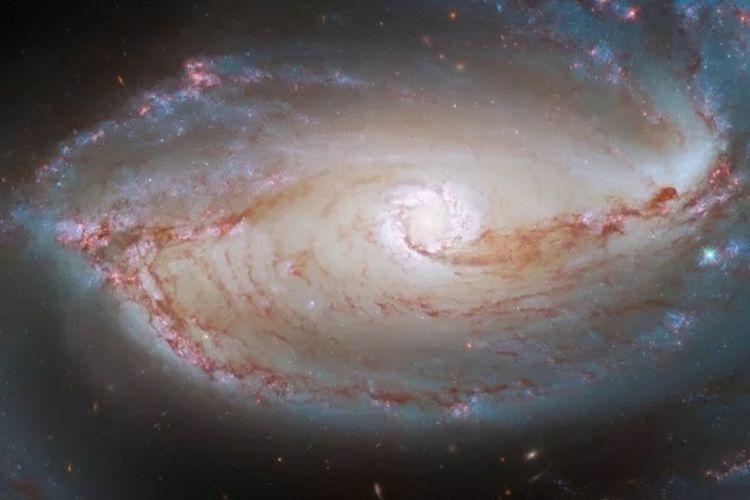 Frightening Galactic Eyes Caught by the Hubble Telescope Gazing at the Universe