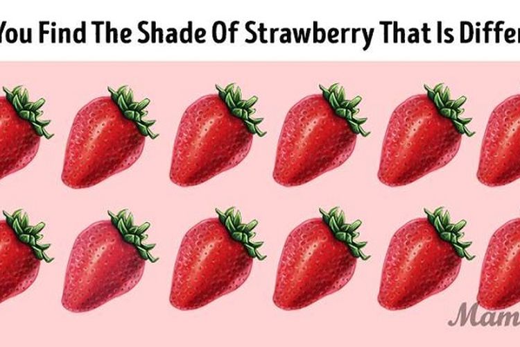 IQ Test: Can You Spot the Different Colored Strawberries? – Archyworldys