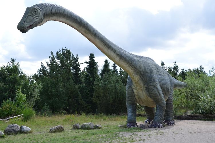 Scientists Find Dinosaur Foot Fossil, Suspected Dead on Asteroid Attack Day 66 Million Years Ago!