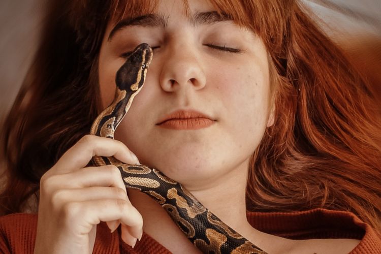 7 Arti Mimpi tentang Ular, Bisa Jadi Pertanda Baik Maupun Buruk
