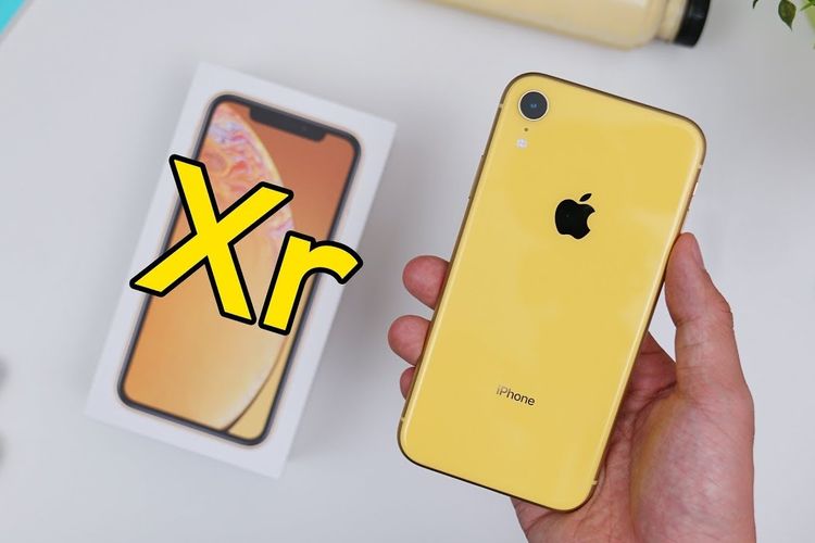 Apakah IPhone XR Masih Ada Di IBox? Simak Harga Terbaru Juni 2022 Mulai ...