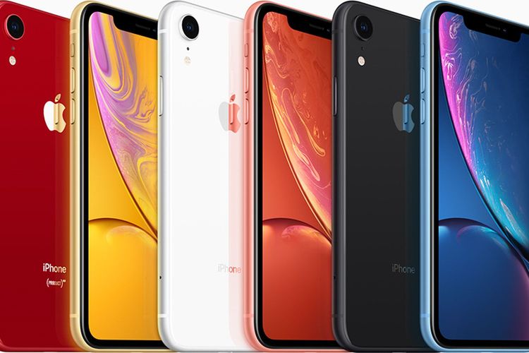 iPhone XR Specifications: Affordable Price with 828 x 1792 Pixels Resolution and Water Resistant.  Curious?