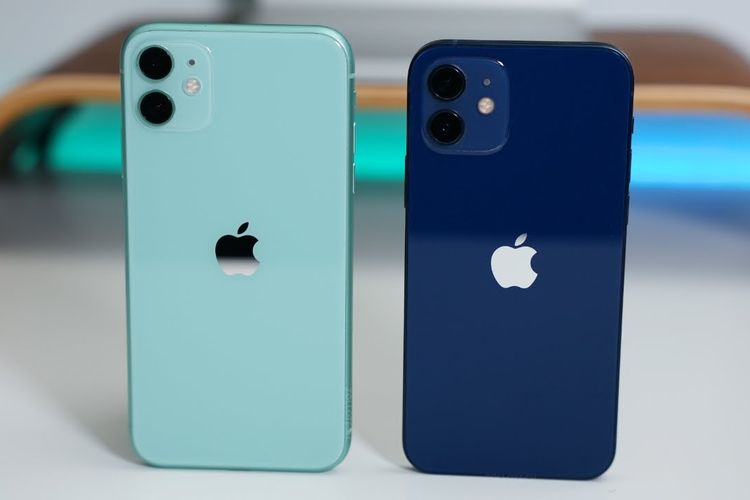 iphone xr and iphone 12 pro max size