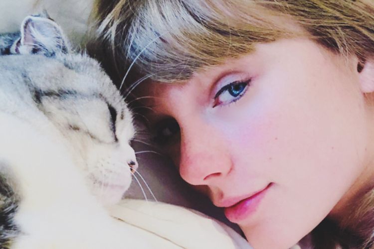 Fakta Menarik 3 Kucing Taylor Swift, Jadi Bintang Iklan hingga Ada yang