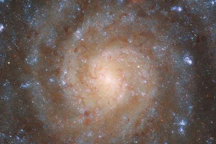 Spiral galaxy captured by NASA’s James Webb telescope