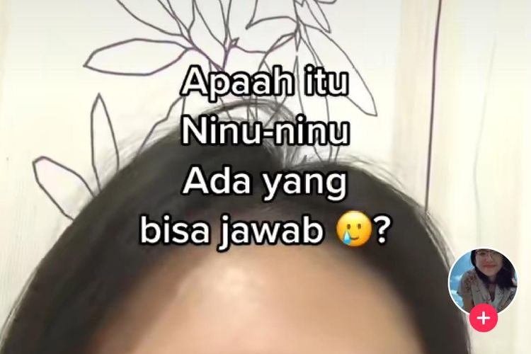 Ninu Ninu Adalah, Bahasa Gaul Viral di TikTok! Begini Artinya Aku Ninu ...