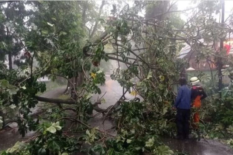 BOGOR, Hujan Deras Disertai Angin, Akibatkan Longsor Dan Pohon Tumbang ...