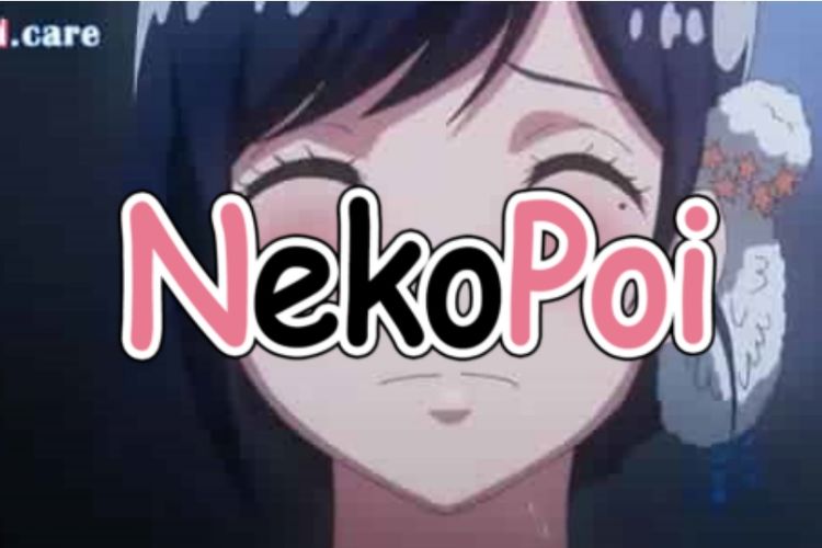 Aplikasi Nekopoi Care v3.05.7 Mod Apk, Nonton Anime Hot Gratis Aman