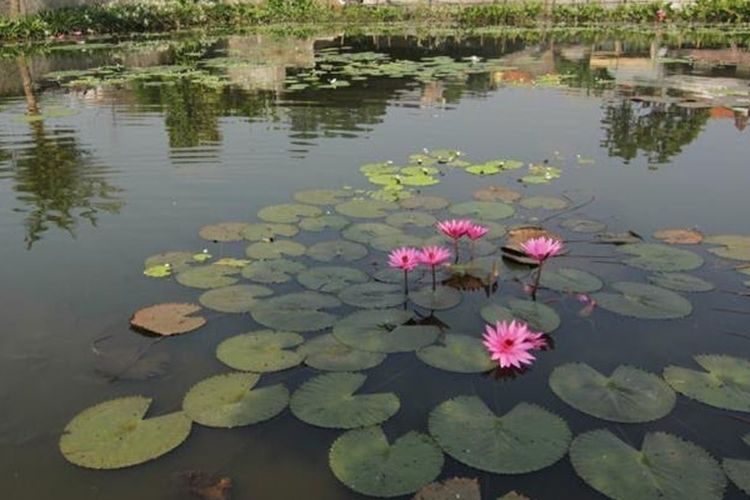 Bukan Sekadar Destinasi Liburan, Berikut 13 Taman di Jakarta Timur yang Jadi Pengendali Genangan
