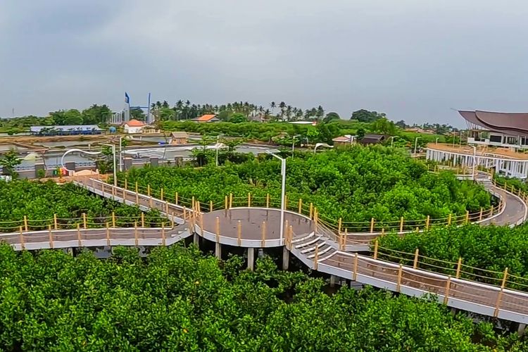 Tempat Wisata Taman Mangrove Ketapang Lagi Hits Di Kabupaten Tangerang Banten Kabar Banten 8232