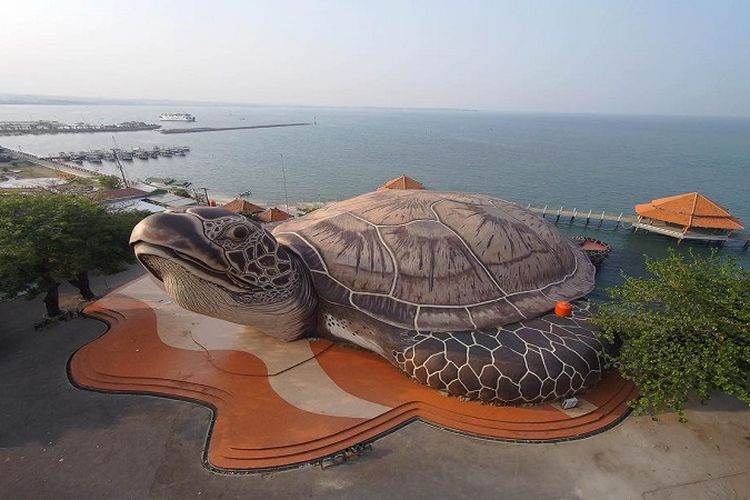 Kura Kura Ocean Park, Akuarium Raksasa di Jepara Ini Kian Diminati ...