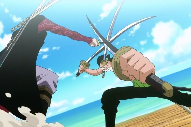 Ronoroa Zoro vs Dracule Mihawk