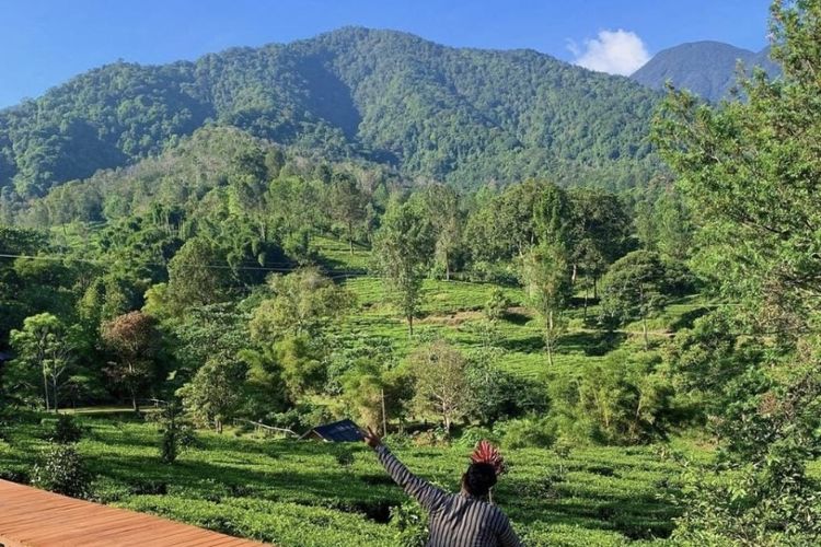 Rekomendasi Tempat Wisata Di Puncak Bogor Yang Instagramabel Dan Terbaru Jurnal Aceh