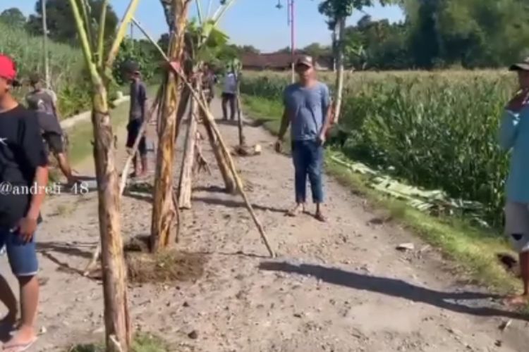 Jalan Rusak Tak Segera Diperbaiki, Warga Dusun Sumberjo Nganjuk Pilih Tanami Pohon Pisang dan Sindir Pemkab