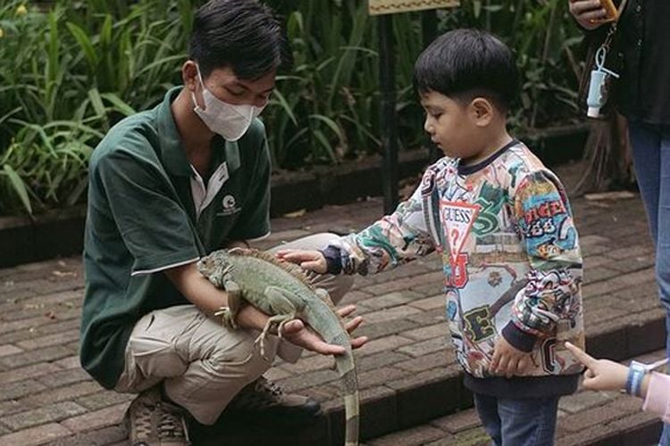 Pihak Kebun Binatang Bandung Minta Pemkot Bandung Tunggu Putusan Mahkamah Agung Sebelum Ambil Alih Lahan