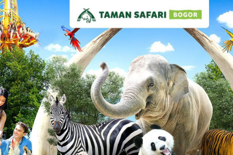 Promo Tiket Masuk Jungleland Dan Taman Safari Masih Ada? Simak ...