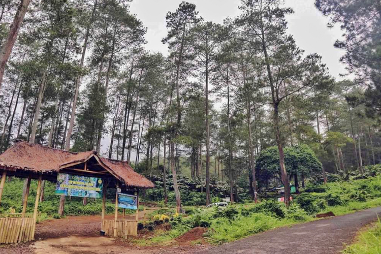 5 Tempat Wisata Alam Di Tasikmalaya Yang Lagi Hits Dan Wajib Dikunjungi ...