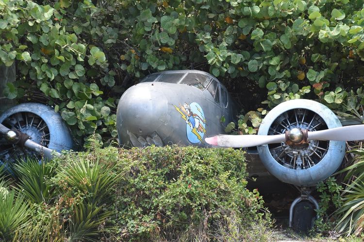 Pesawat SAM Air Jatuh di Hutan Papua, Helikopter Caracal Digunakan untuk Evakuasi Korban