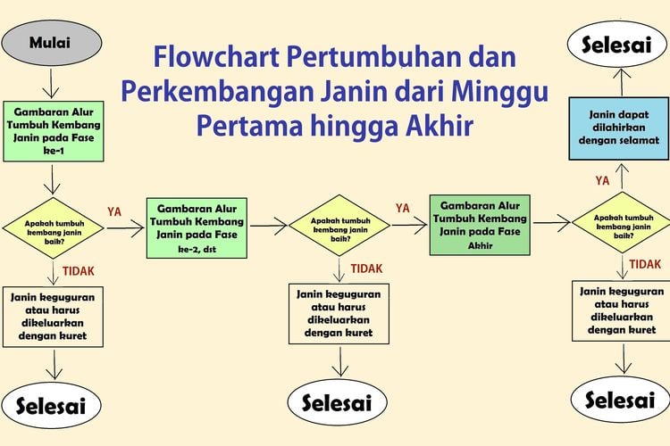 KUNCI JAWABAN IPA Kelas 9 Halaman 5 6 Aktivitas 1.1 Membuat Diagram ...