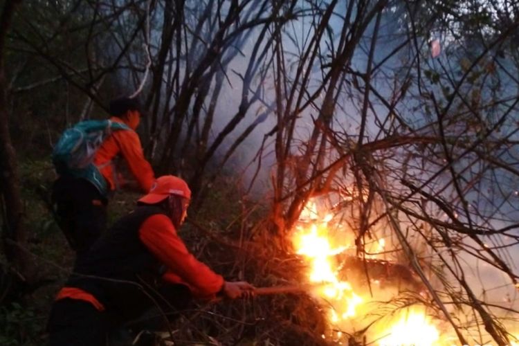 Kebakaran Hutan Gunung Ciremai Meluas, Ini Kawasan Yang Terdampak