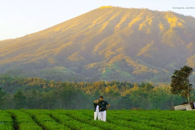 Menikmati pemandangan spektakuler dari puncak Bukit Jengkoang, surga tersembunyi di Kalimantan Barat