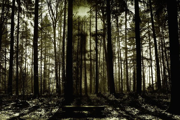 6 Film Horor Terbaik versi IMDb, Referensi Tontonan Favorit Anda