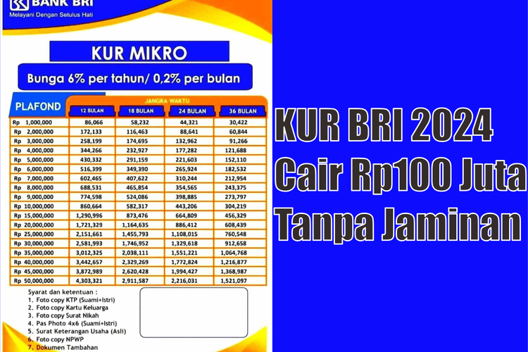 Kemudahan Kur Bri 2024 Dapatkan Pinjaman Plafon Hingga Rp100 Juta