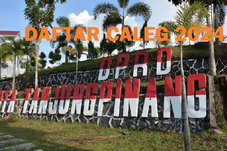 Berhasil Masuk Dct Ini Daftar 40 Caleg Perempuan Dprd Tanjungpinang