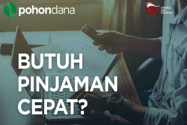 Pinjaman Cepat dan Rendah Bunga di Pohon Dana, Begini Panduan Lengkapnya -  Media Jabejabe
