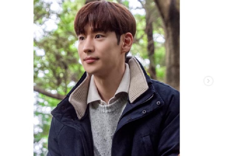 Apa Nama Ig Lee Je Hoon Profil Dan Biodata Aktor Pemeran Kim Do Ki Di Taxi Driver Malang