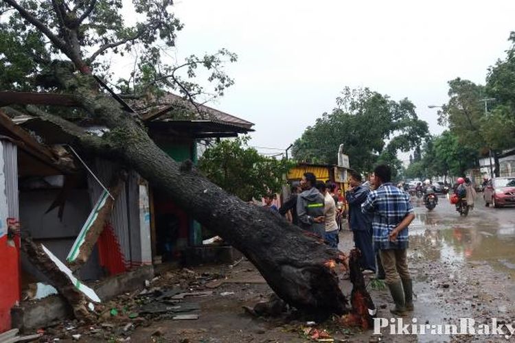 Bruk Pohon Timpa Toko  di  Cimahi  Pikiran Rakyat com