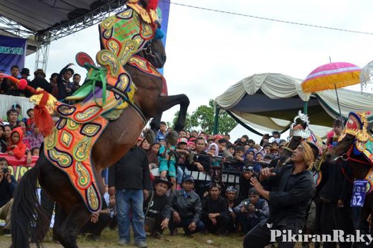 Apresiasi Luar Biasa untuk Seni Kuda Renggong Pikiran