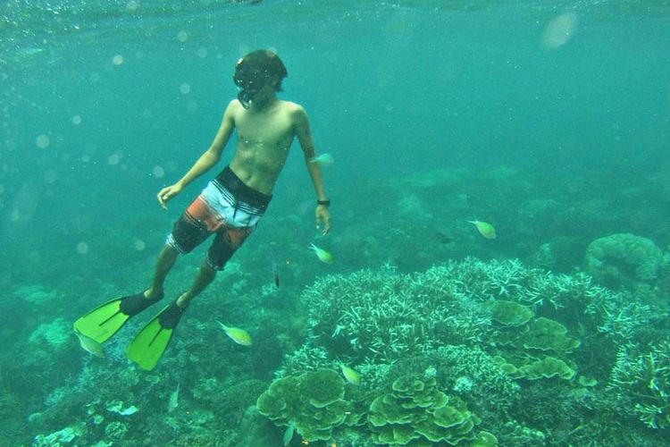 Snorkling Murah di Carita Kabar Banten