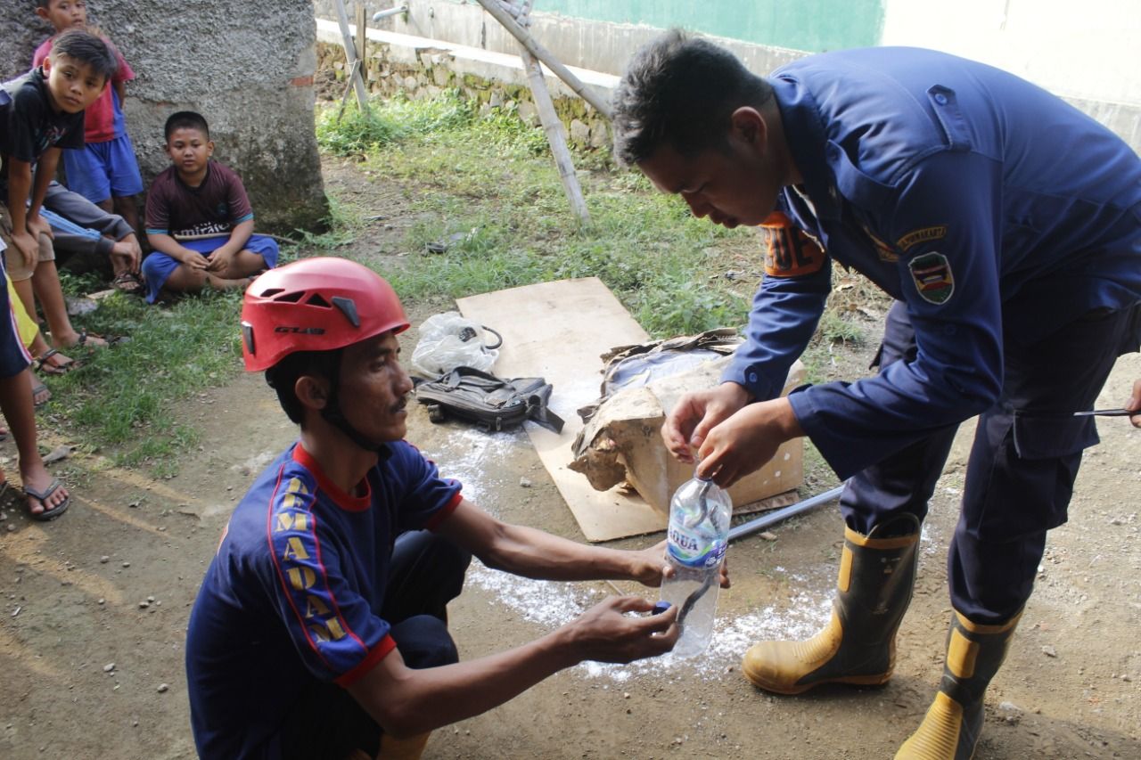 Teror Belasan Ular Kobra Resahkan Warga Di Purwakarta