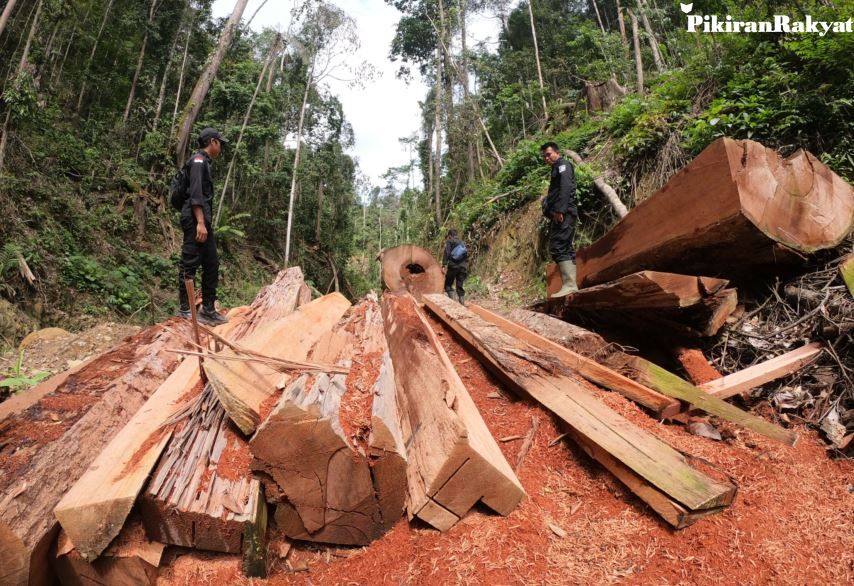 Komisi Iv Stop Eksploitasi Hutan Saatnya Konservasi Pikiran Rakyat Com