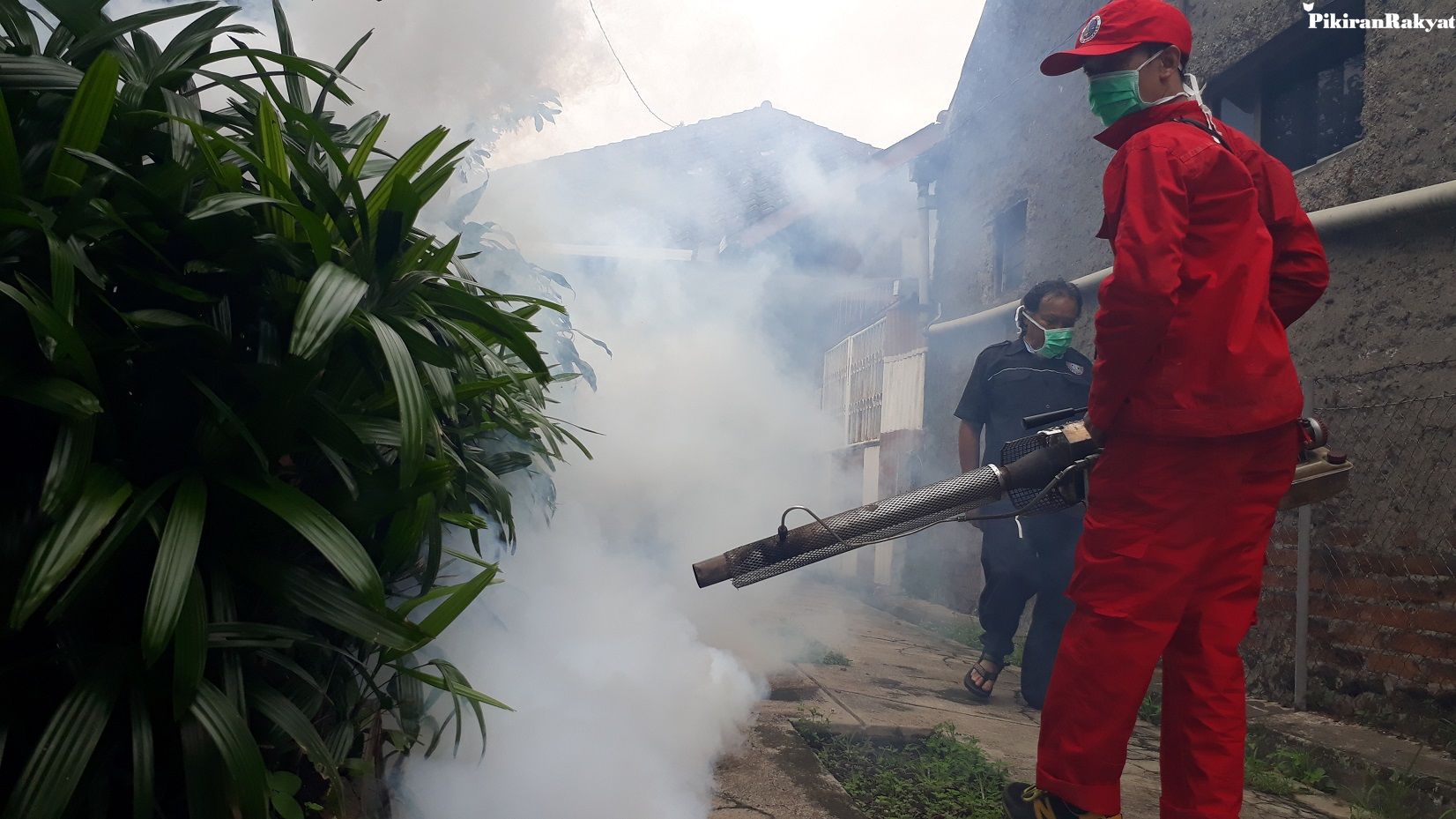 Populasi Nyamuk Demam Berdarah Melonjak Tiap Awal Tahun Warga Diminta Waspada Pikiran Rakyat Com