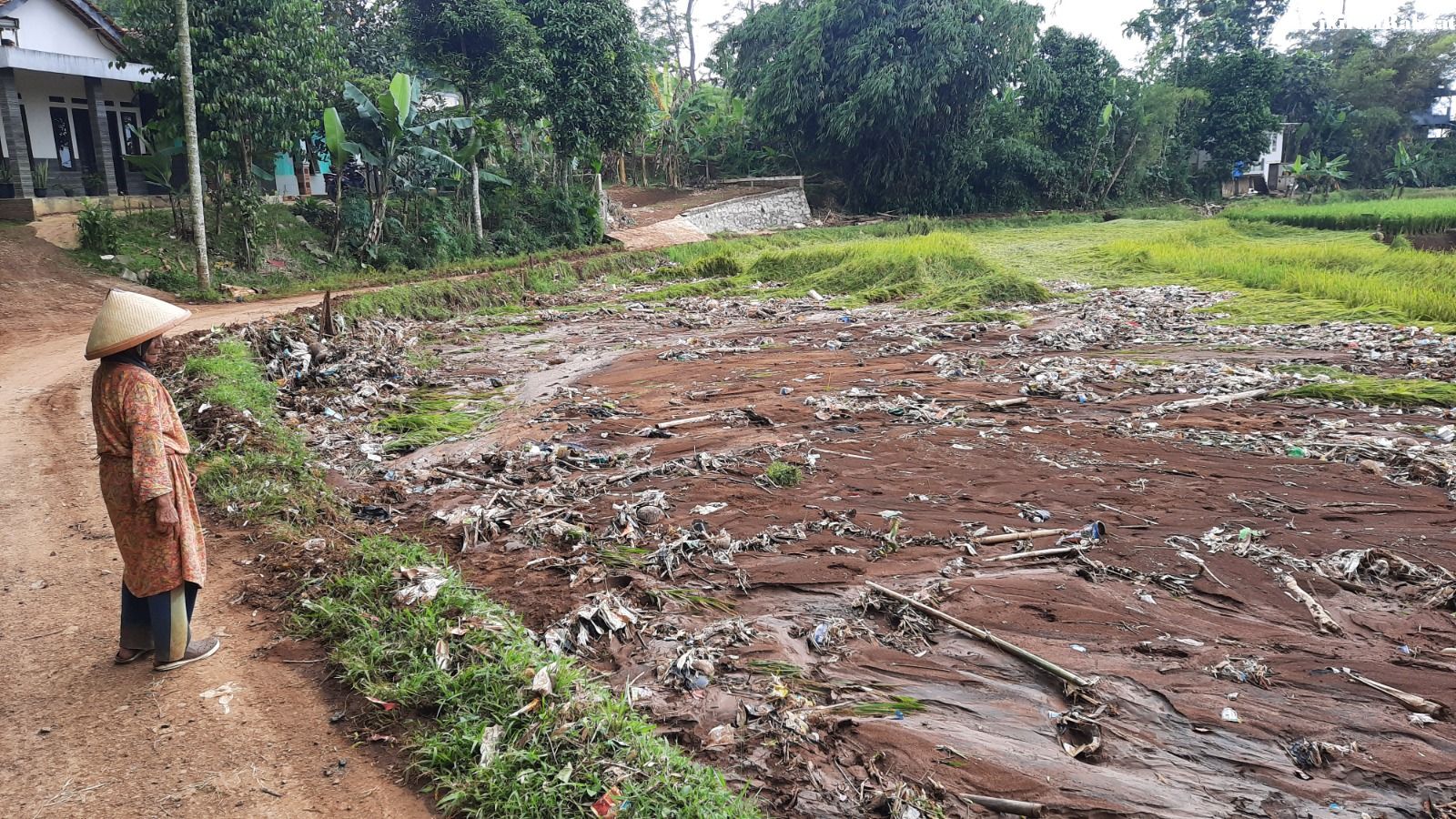 WARGA mengamati sawah yang rusak tersapu banjir di Kampung Pangkalan, Desa Cikalong, Kecamatan Cikalongwetan, Kabupaten Bandung Barat, Minggu, 19 Maret 2023. *