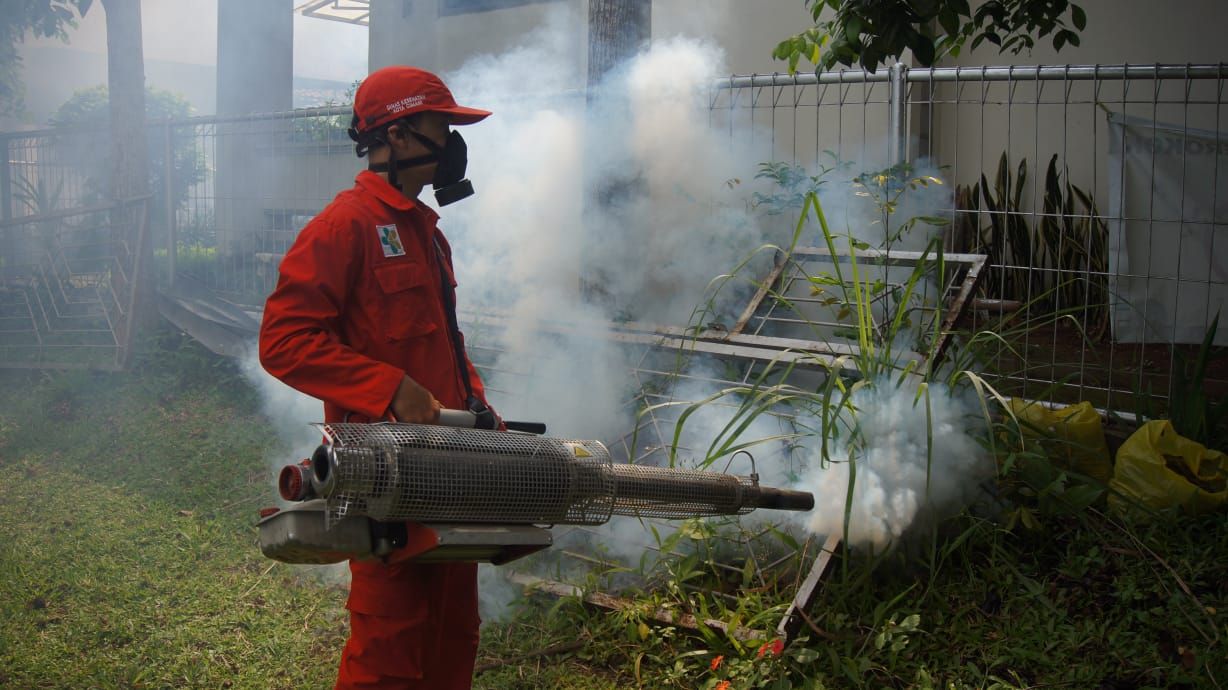 Ternyata Ini Bahaya Fogging Nyamuk Bagi Kesehatan Lingkar Madiun
