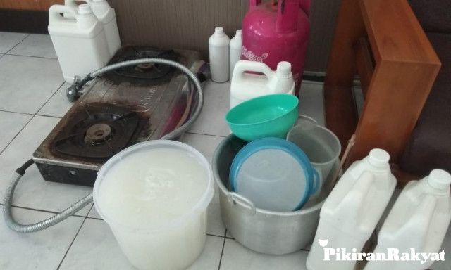 Pupuk Alami Organik Terbaik Agar Tanaman  Hias  Aglonema 