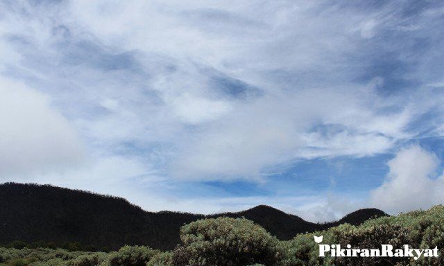 Info dan Harga Wisata Garut: Indahnya di Gunung Papandayan Cocok Dinikmati Bersama Doi/DOK. PR