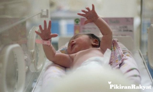 Bayi Orok Baru Lahir Di Indonesia Tanggung Utang Rp 20 5 Juta Ekonom Indef Warisan Namanya Zona Jakarta