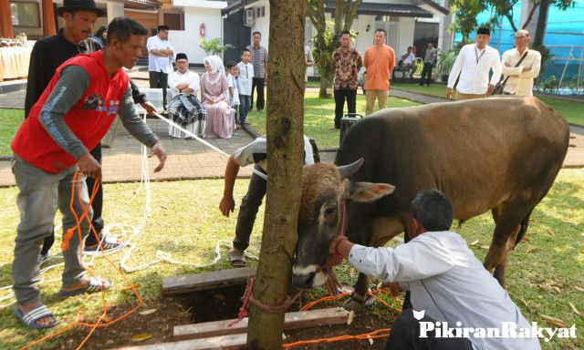 Hari Raya Idul Adha 1442 H dan Penyembelihan hewan kurban pada tanggal  20 Juli 2021.