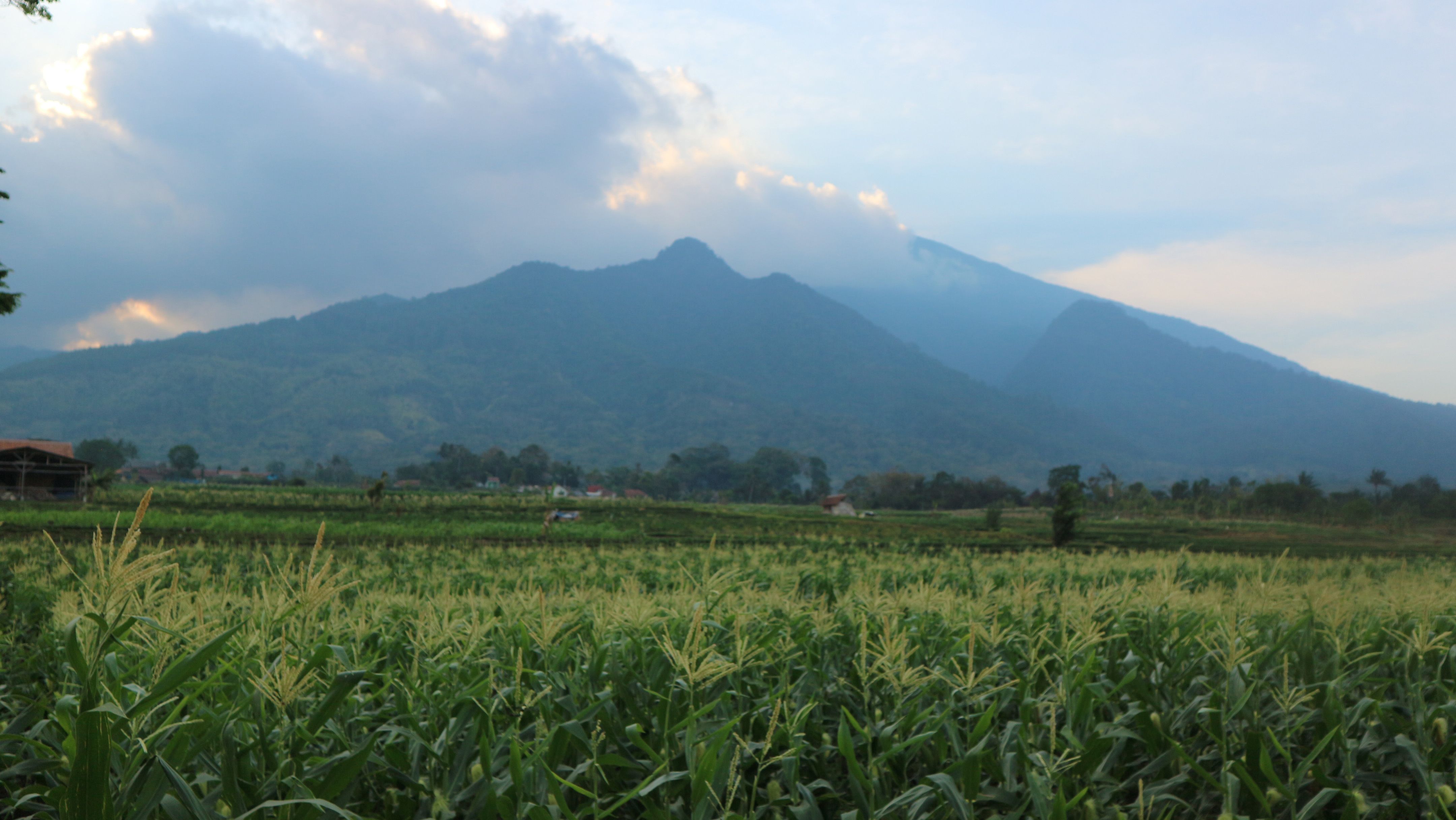 Puncak Gunung Ciremai tertutup awan, diabadikan dari Desa Pajambon, Kecamatan Kramatmulya, Kabupaten Kuningan, beberapa pekan lalu.*