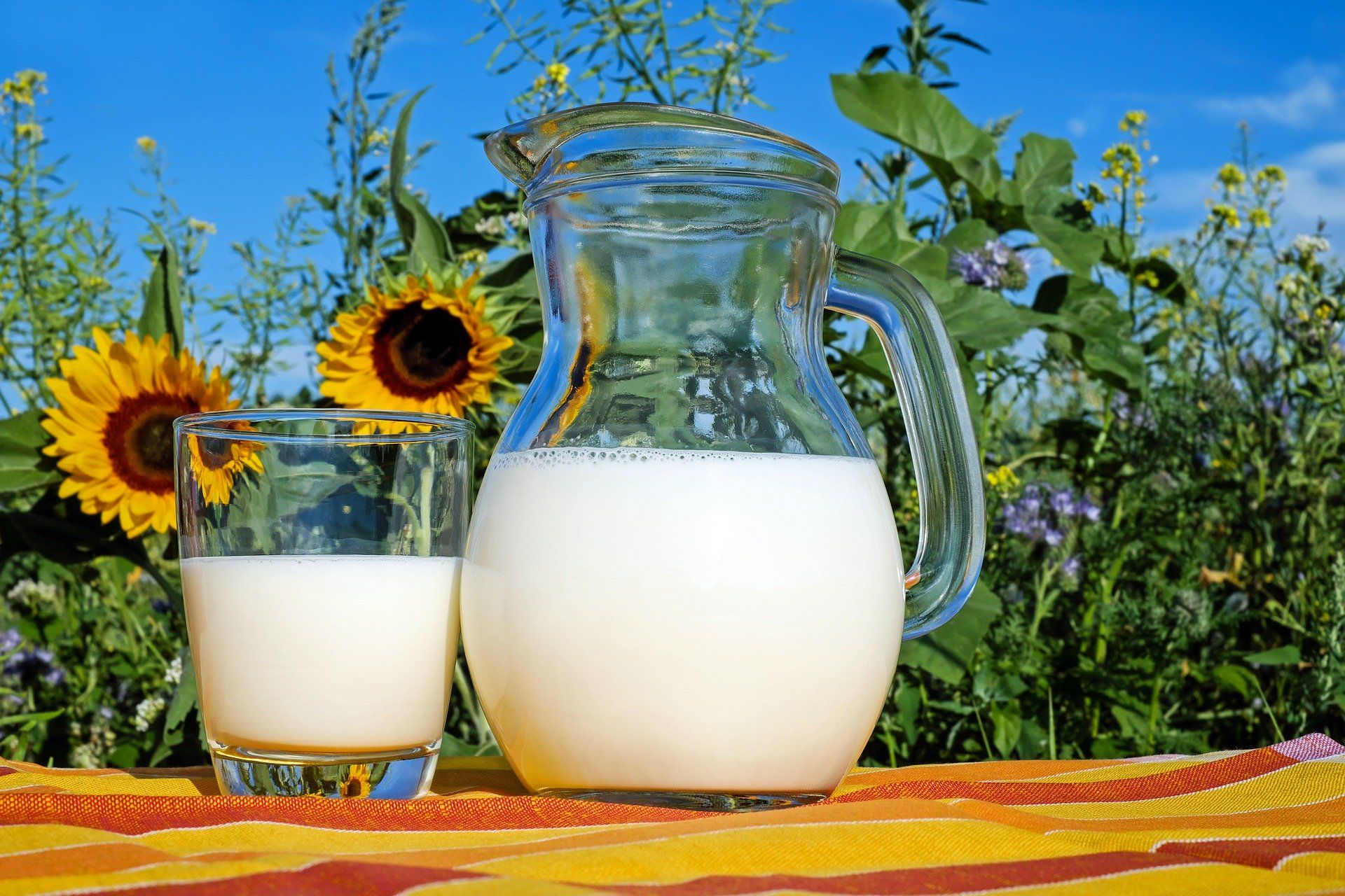 lustrasi minum susu bisa jadi alternatif saat telat sahur