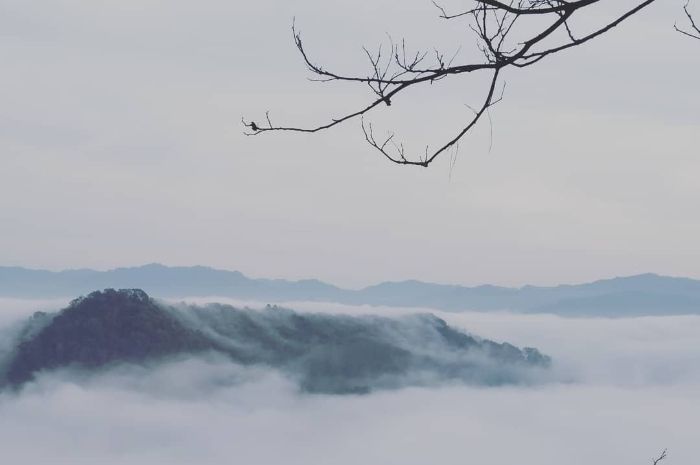 Lagu Negeri Di Awan Jadi Nyata Tanpa Daki Gunung Di Ciamis